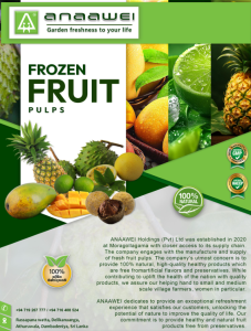 Corporate Brochure